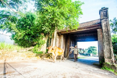 Hanoi to Duong Lam Ancient Village - Bat Trang 1 day